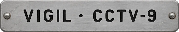 VIGIL CCTV-9