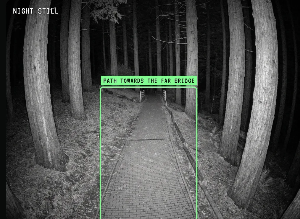 A forest path still with the path towards the far bridge boxed in green and labelled
